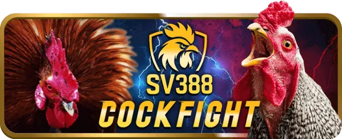 Hoàn trả cực cao Dabet88